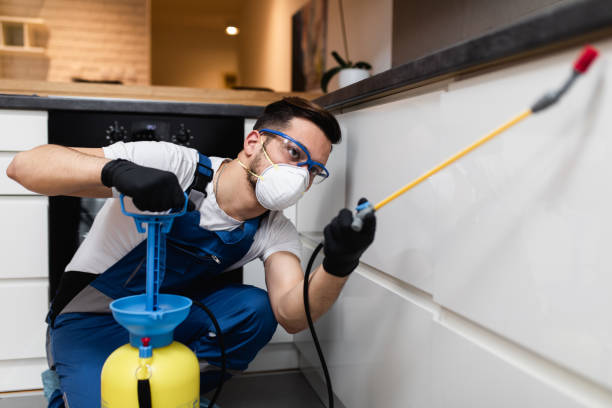 Best Pest Removal Services  in Sayville, NY