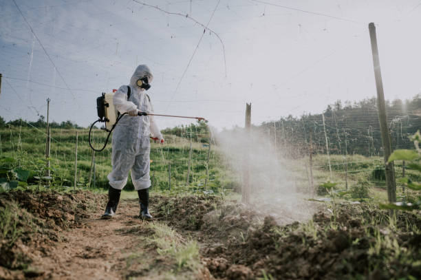 Best Pest Control Treatment  in Sayville, NY