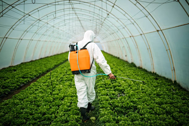 Best Residential Pest Control  in Sayville, NY
