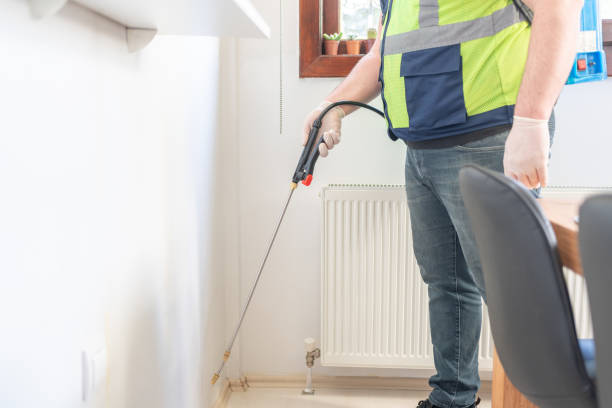 Best Pest Control Near Me  in Sayville, NY