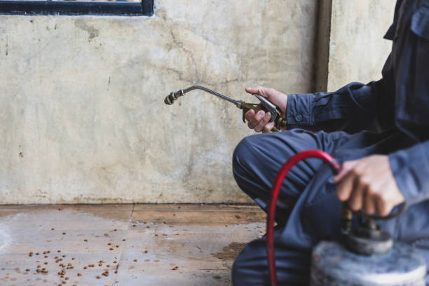 Best Local Pest Control Services  in Sayville, NY